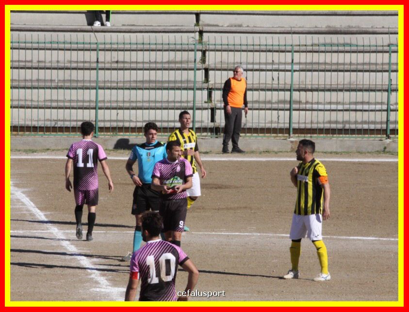 190310 Cephal_Torrenov 094_tn.jpg